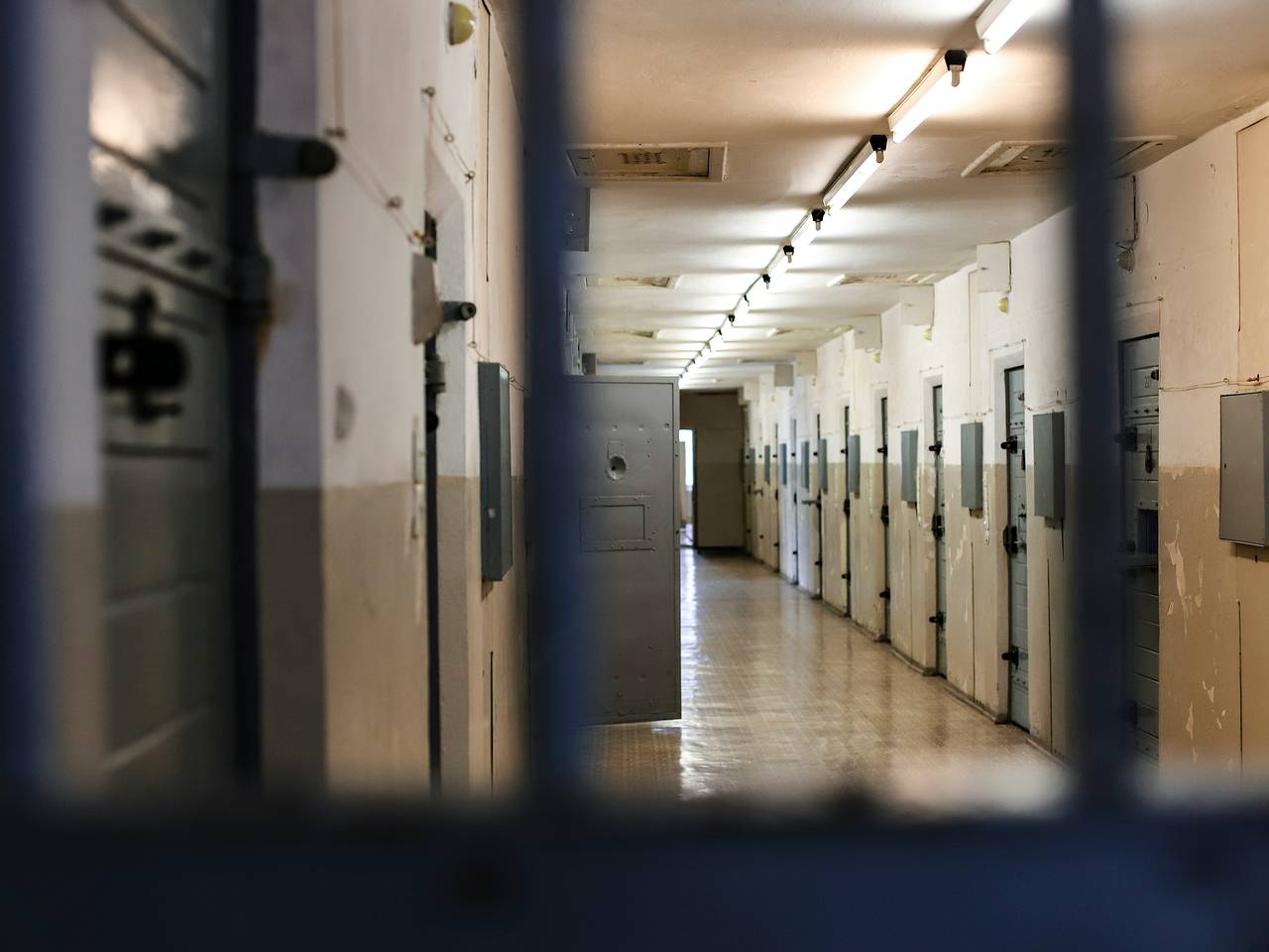Депутат Рады попросил Уиткоффа включить вопрос политзаключенных в повестку переговоров