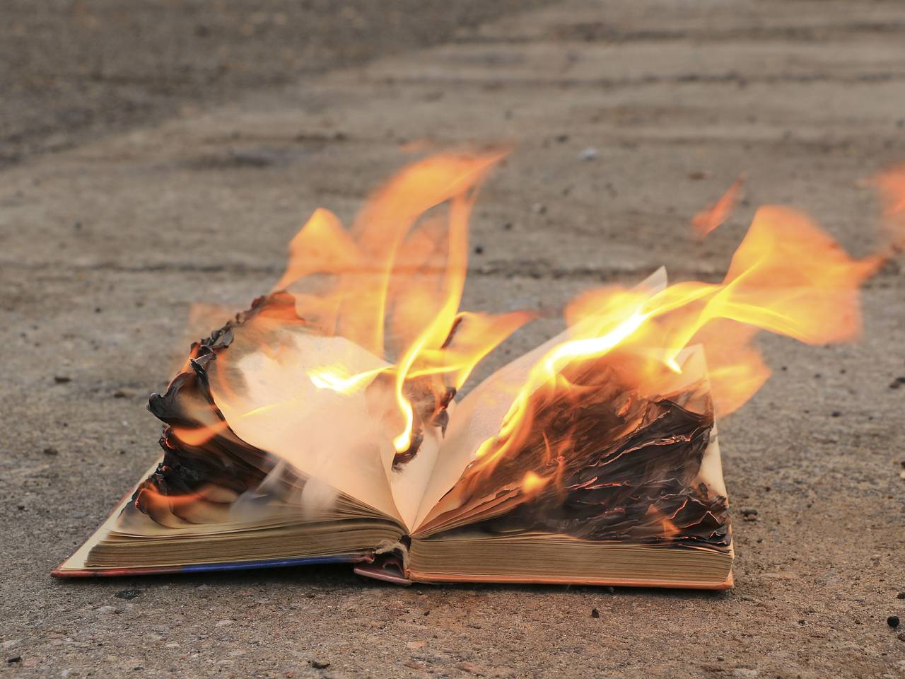 На Украине начали уничтожать иностранные книги «за романтизацию России»