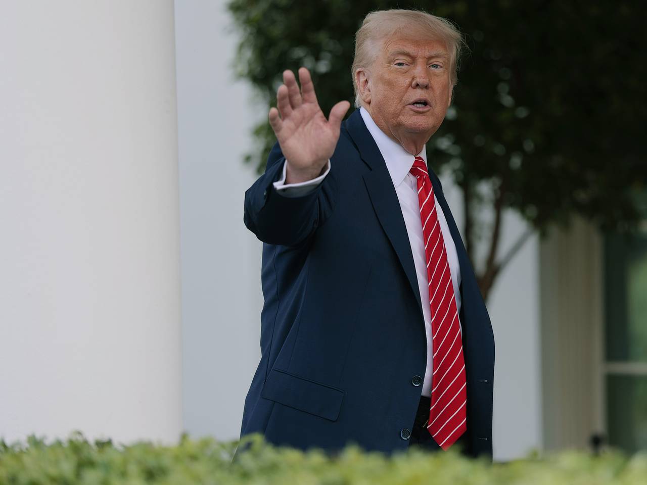 Раскрыто условие участия Трампа в переговорах по Украине в Стамбуле
