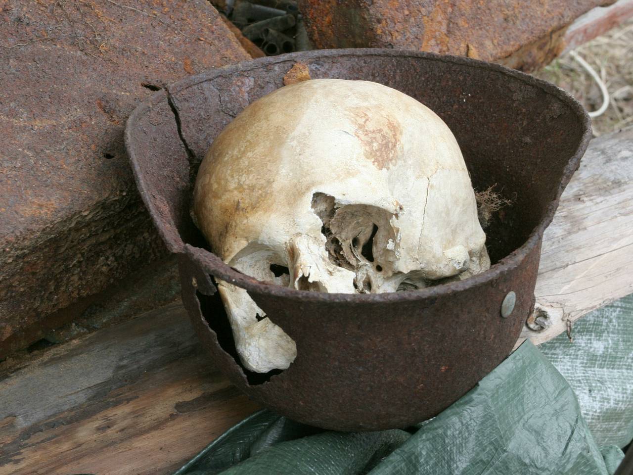 Женщина занялась торговлей человеческими костями и поплатилась