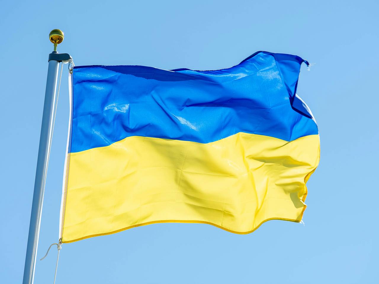На Западе высмеяли встречу Зеленского с Макроном, Стармером, Мерцем и Туском