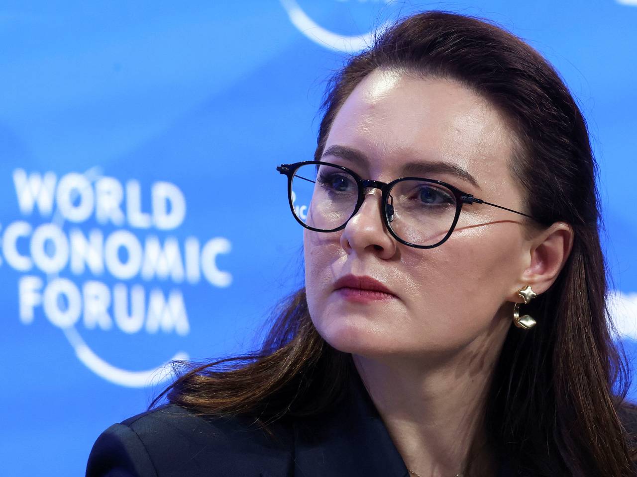 На Украине назвали сроки запуска фонда полезных ископаемых