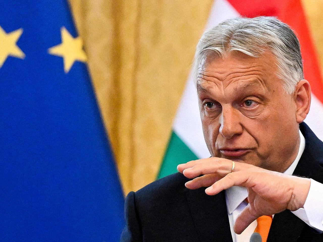 Премьер Венгрии раскрыл правоту Путина по одному действию в конфликте на Украине