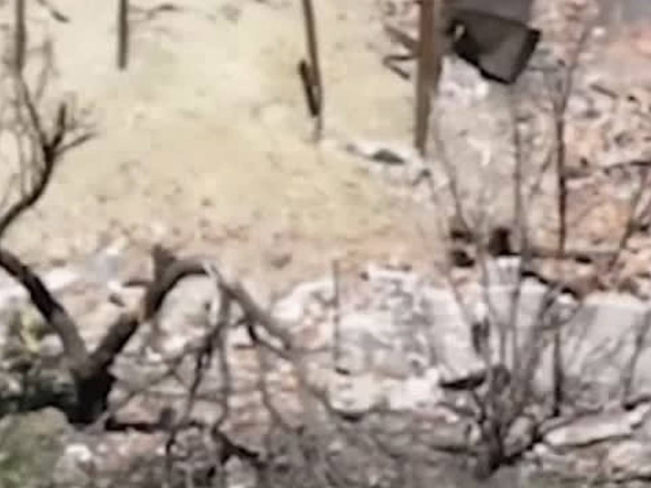 Минобороны показало видео поражения огневой точки ВСУ с помощью наземного робота