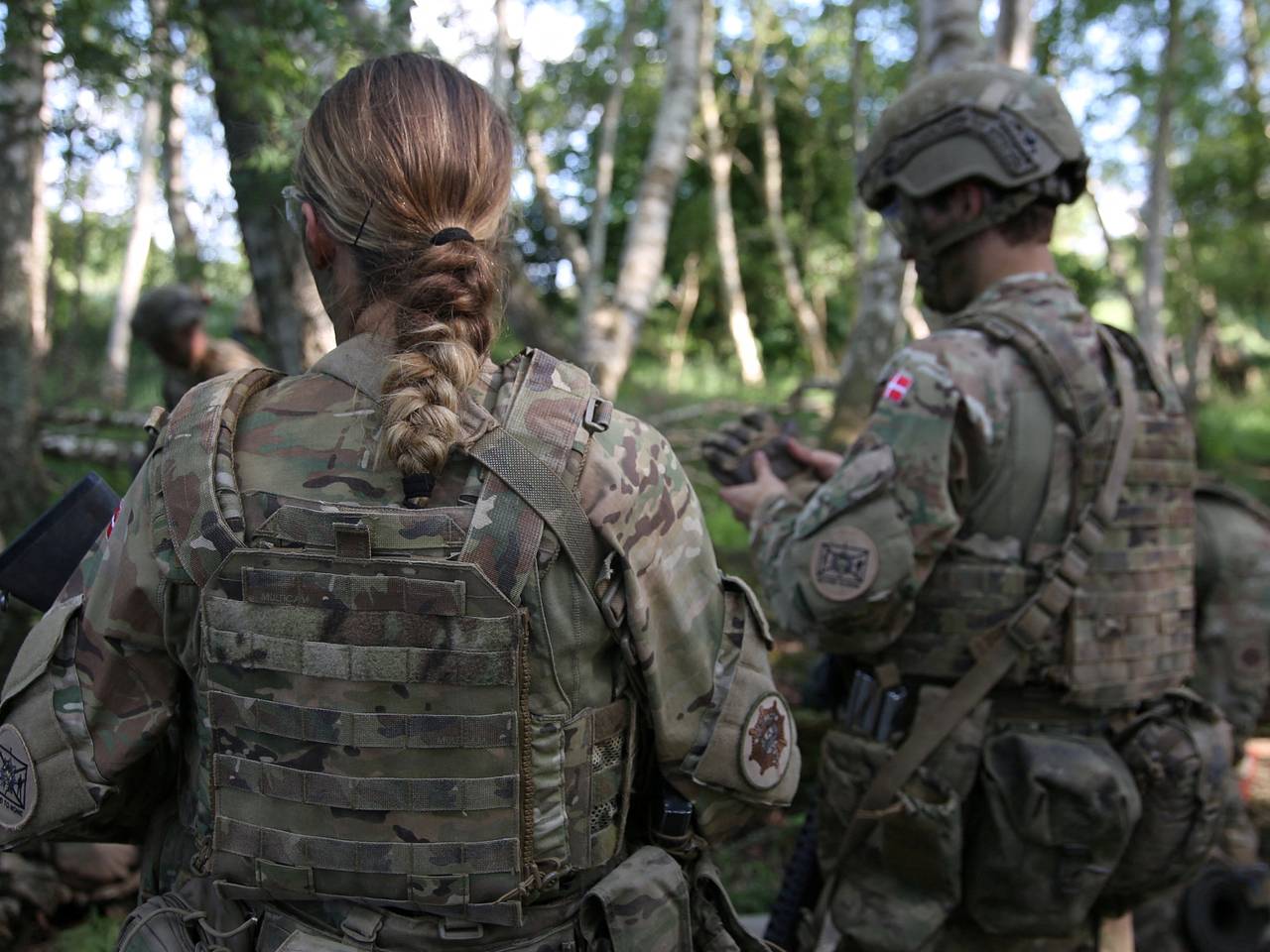 В Дании назвали причины военной поддержки Украины