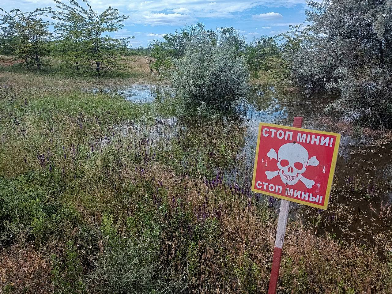 ВСУ использовали запрещенные конвенциями мины в Курской области
