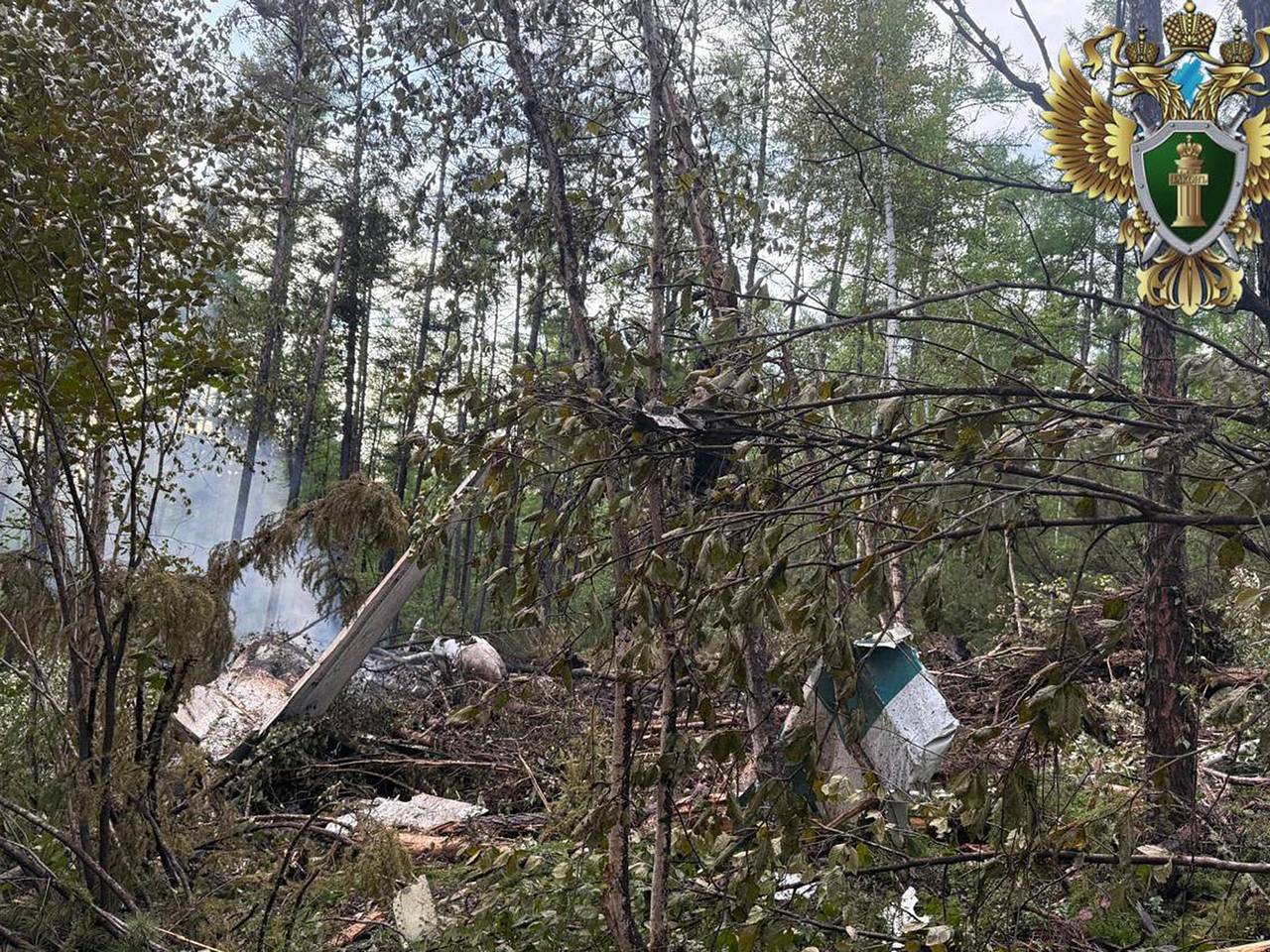 Алиев и Пашинян отреагировали на крушение самолета в Амурской области