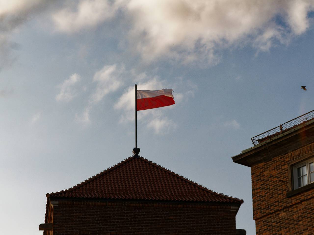 Польша приняла решение депортировать сотни граждан Грузии