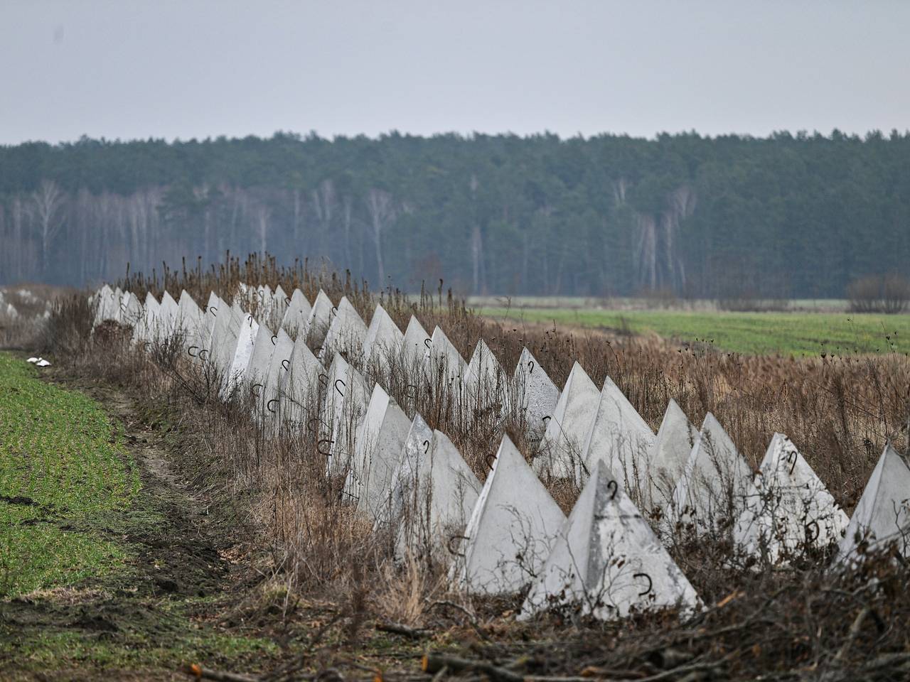 Украинские уклонисты начали сбегать в Белоруссию