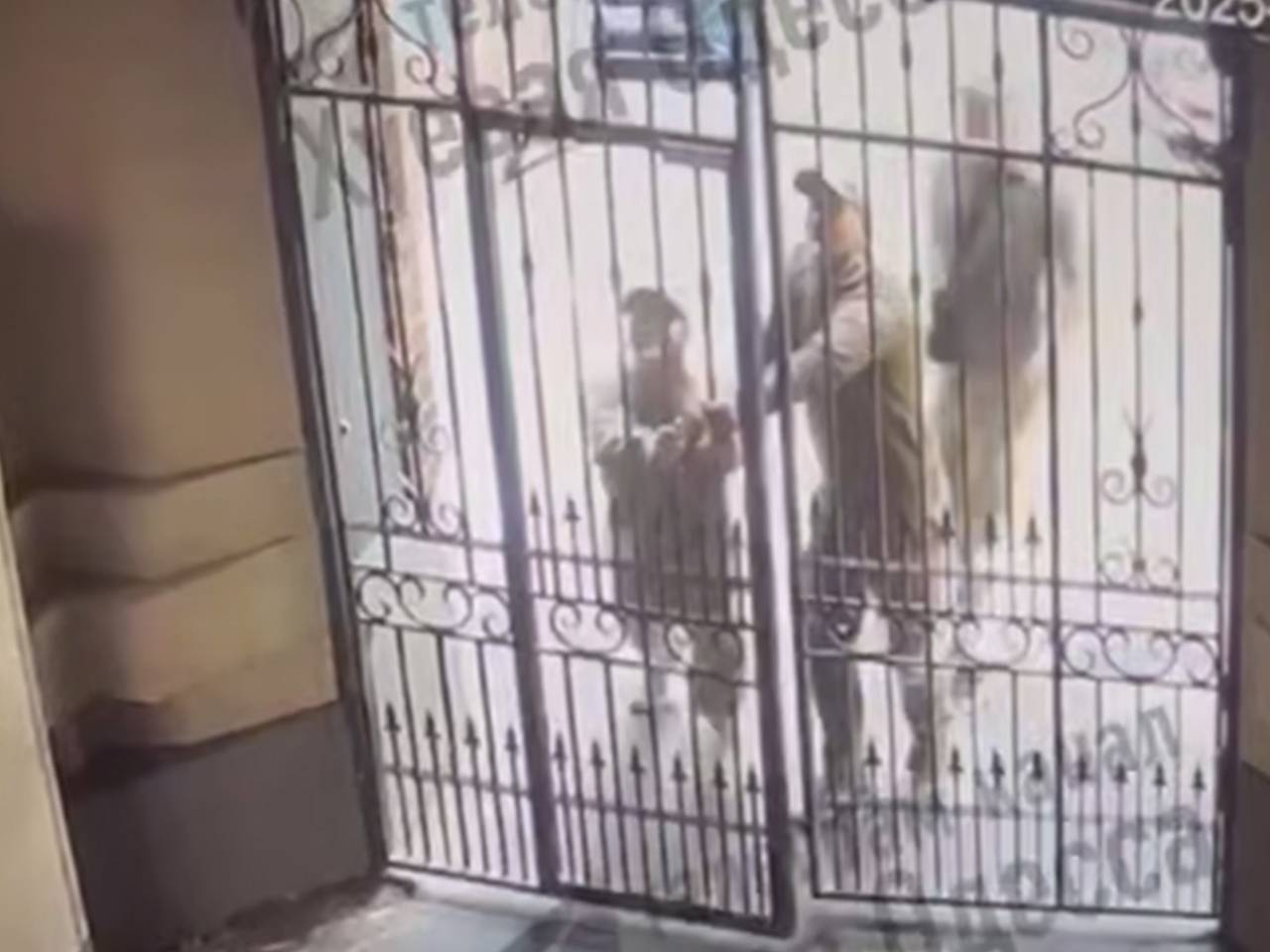 Одесские военкомы не смогли войти в открытую дверь и упустили уклониста