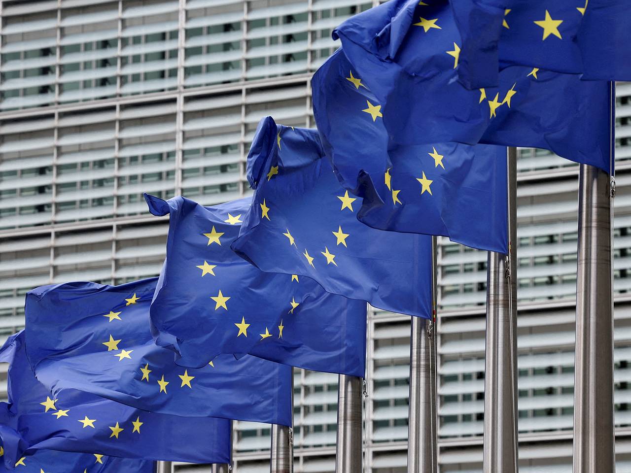 Страны ЕС обеспокоились возможностью вступления Украины в блок
