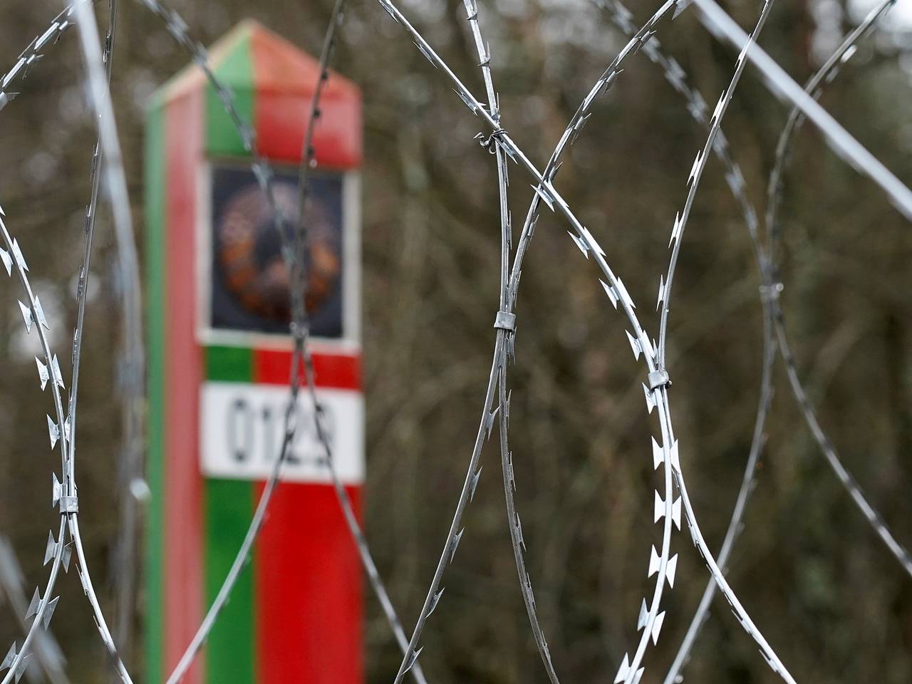 В Литве захотели восстановить осушенные болота на границе с Белоруссией