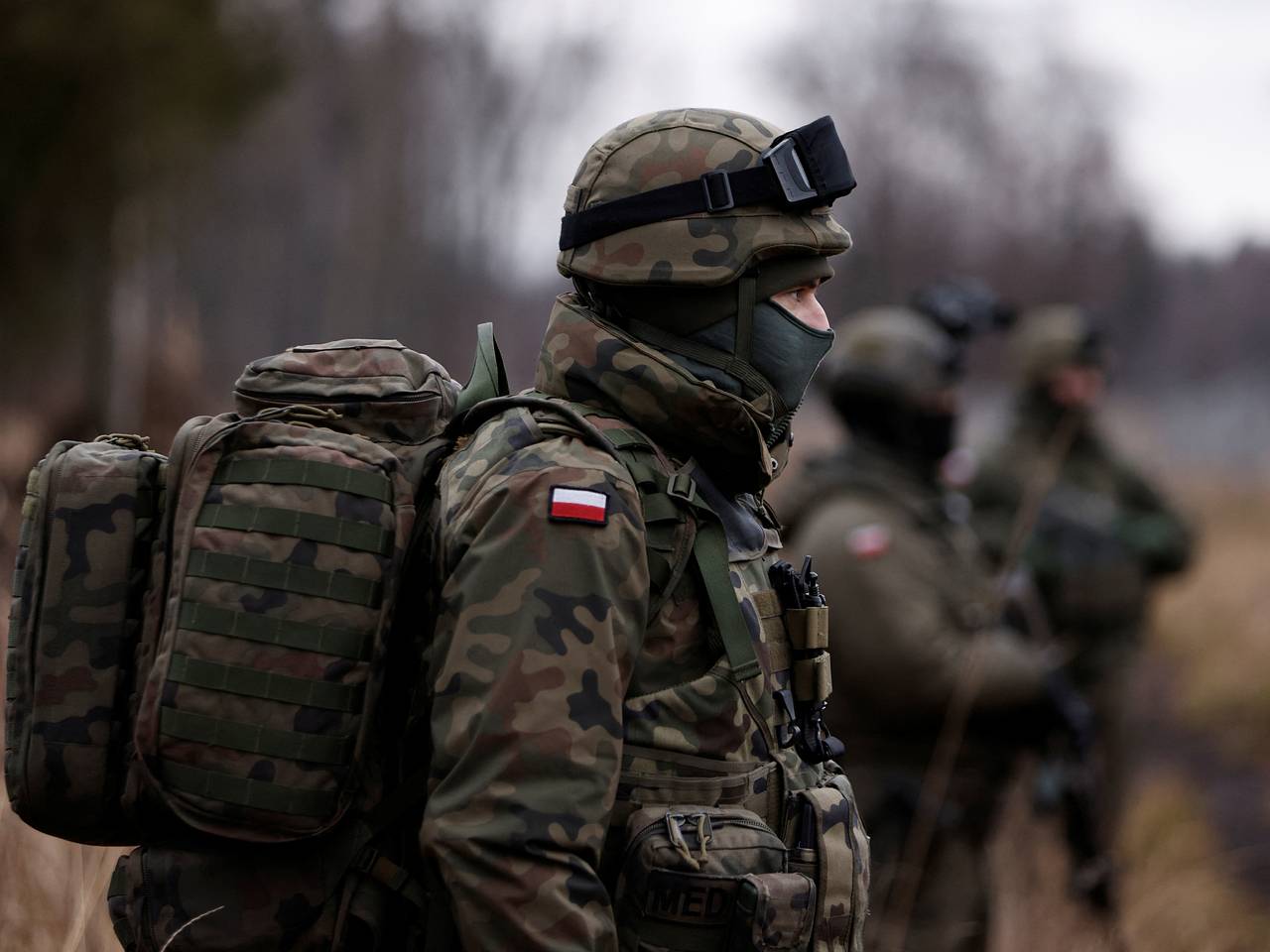 Военный эксперт назвал наиболее сильные европейские армии