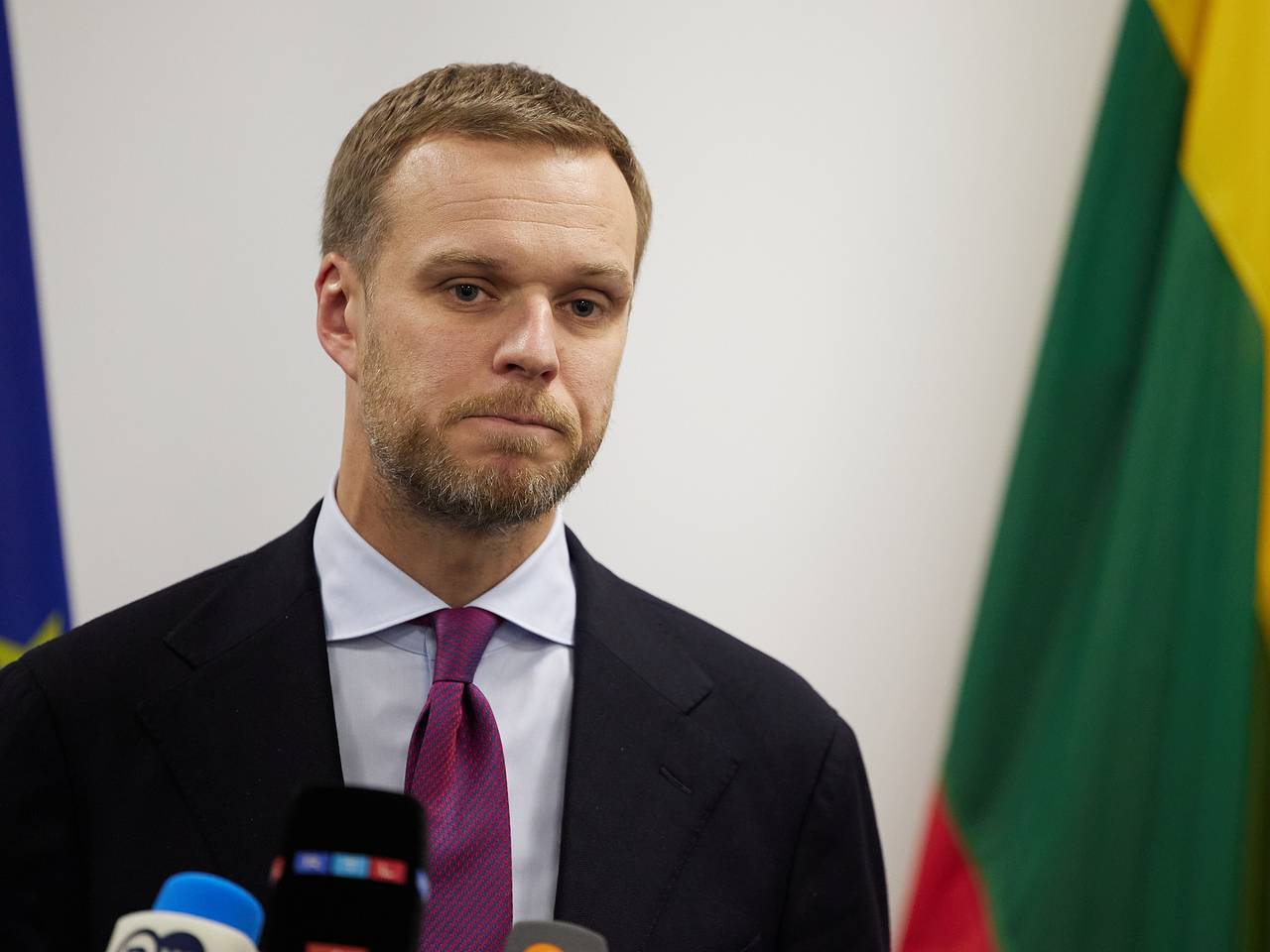 Экс-главу МИД Литвы уличили во лжи о России