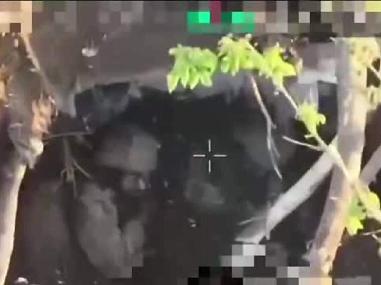 Опубликовано видео ликвидации колумбийских наемников