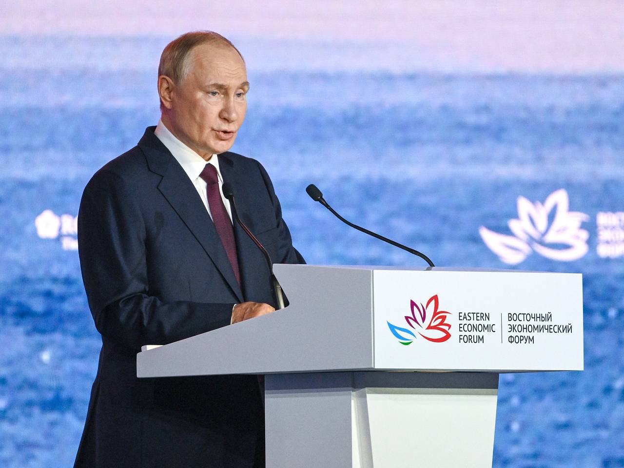 «Посчитал и прослезился». Путин высказался о возможности встречи с Зеленским и судьбе иностранных войск на Украине