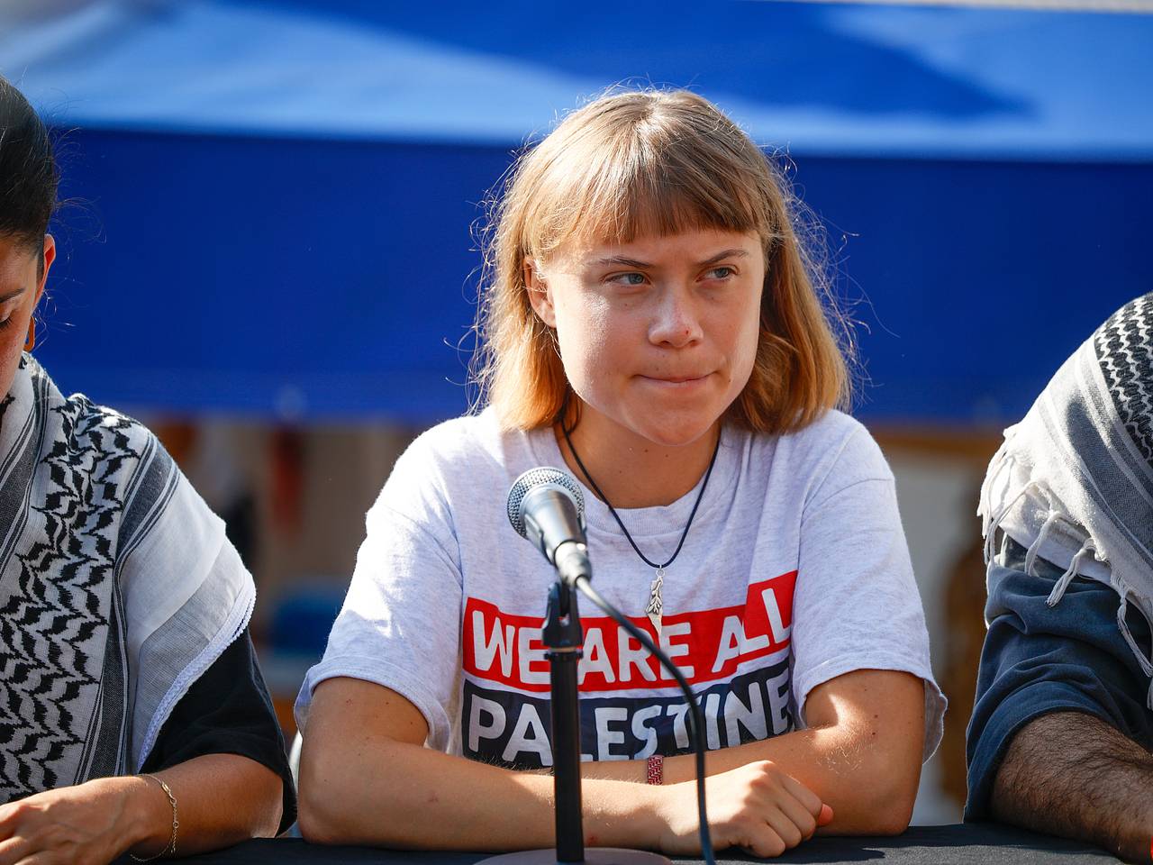 Грета Тунберг задержана в Израиле