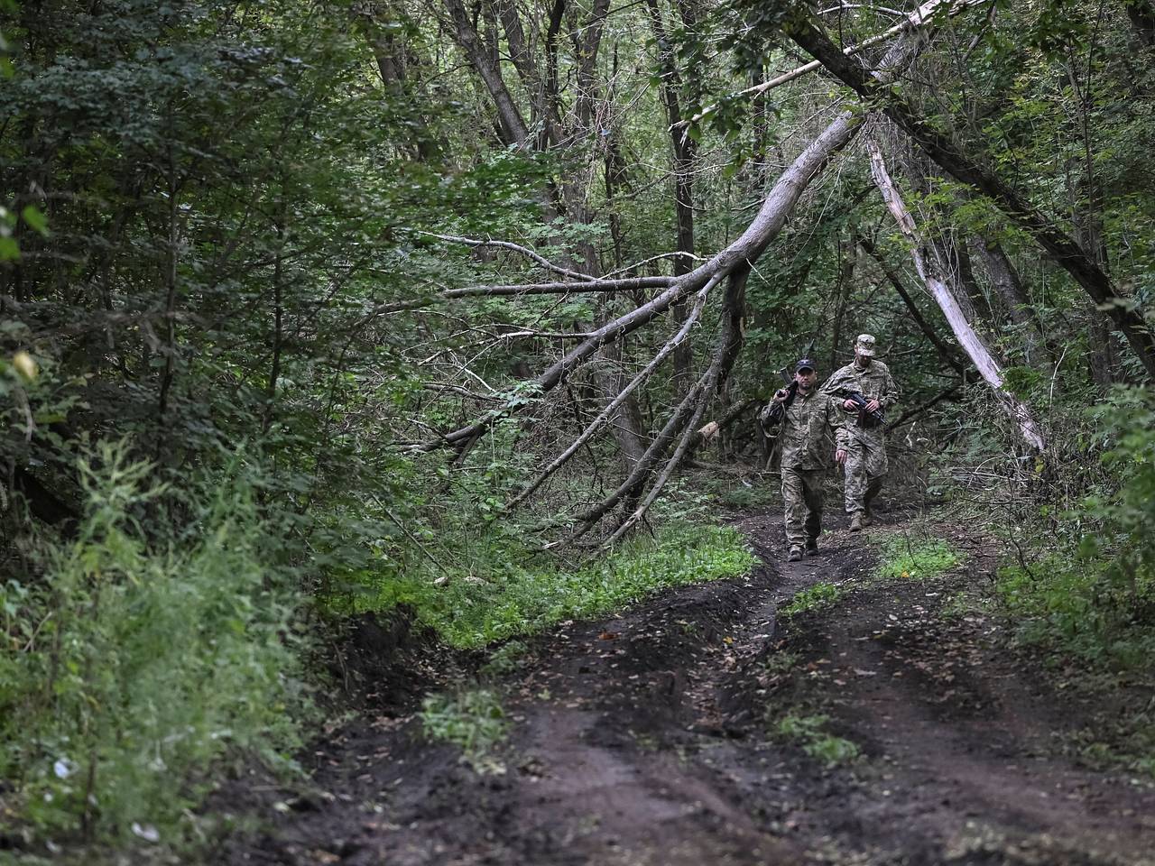 Допустившего колоссальные потери в Курской области полковника ВСУ повысили