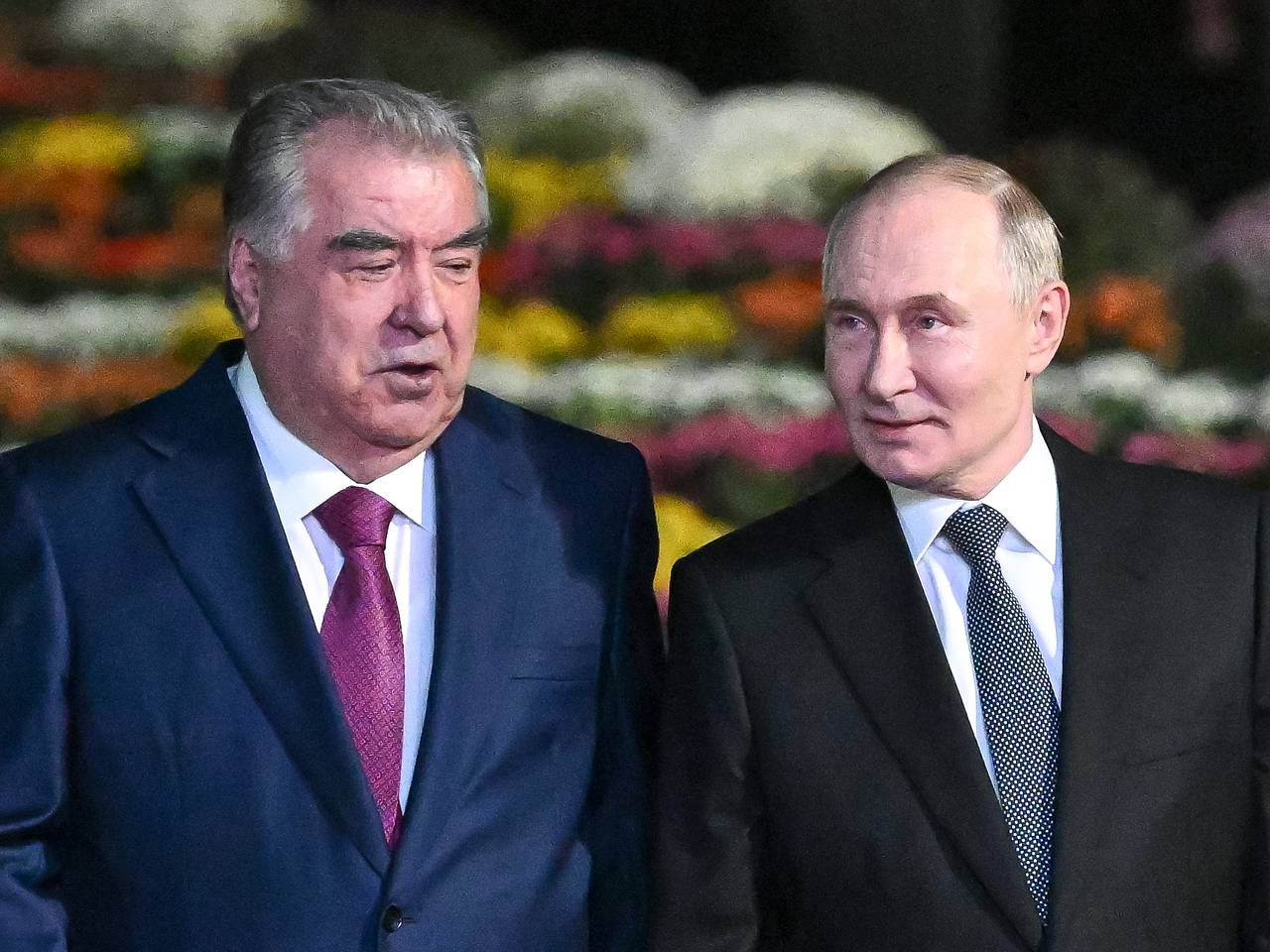 Путин оценил положение русского языка в Таджикистане