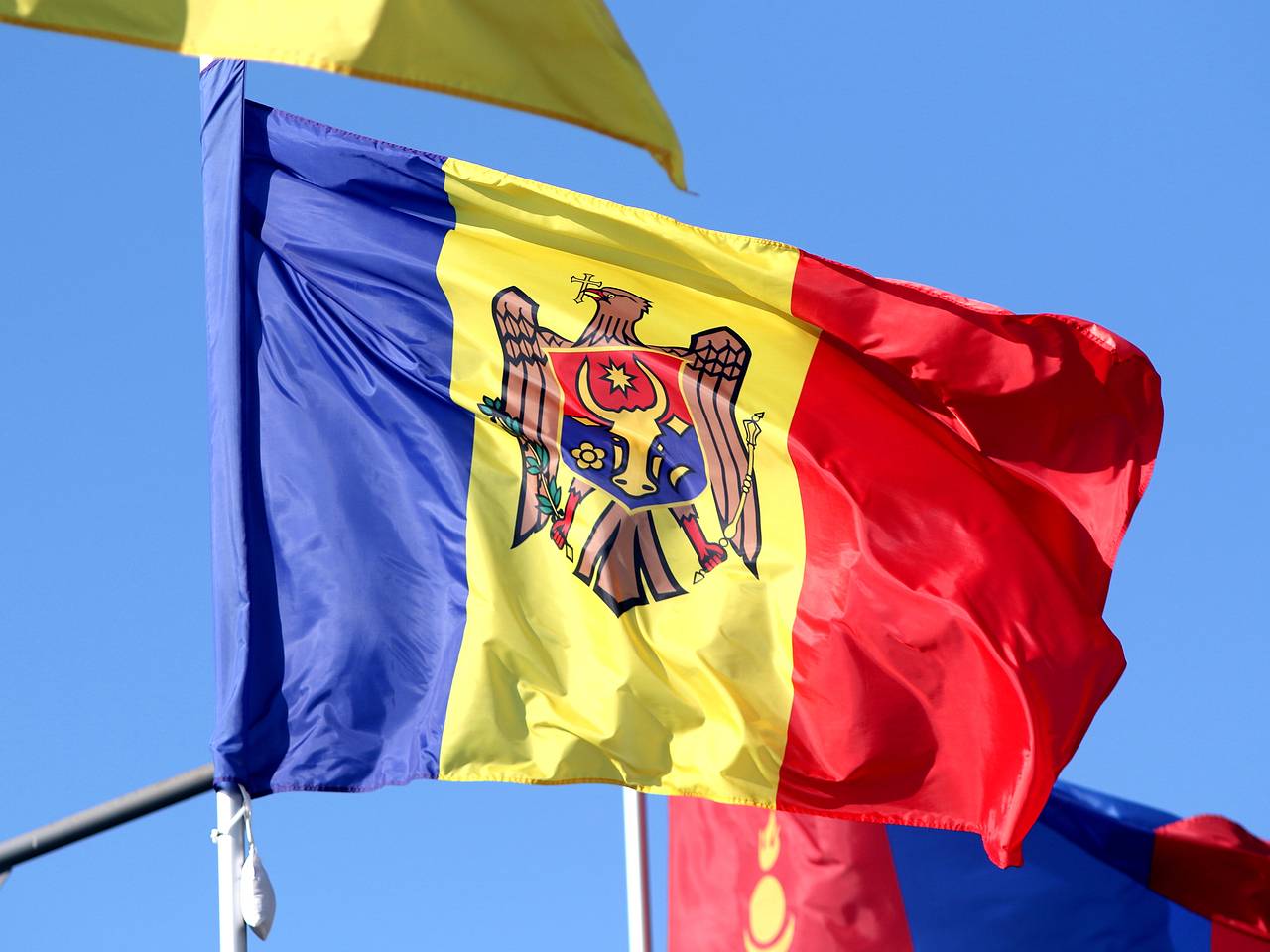 Депутат из Приднестровья рассказал о гниющих в Молдавии фруктах