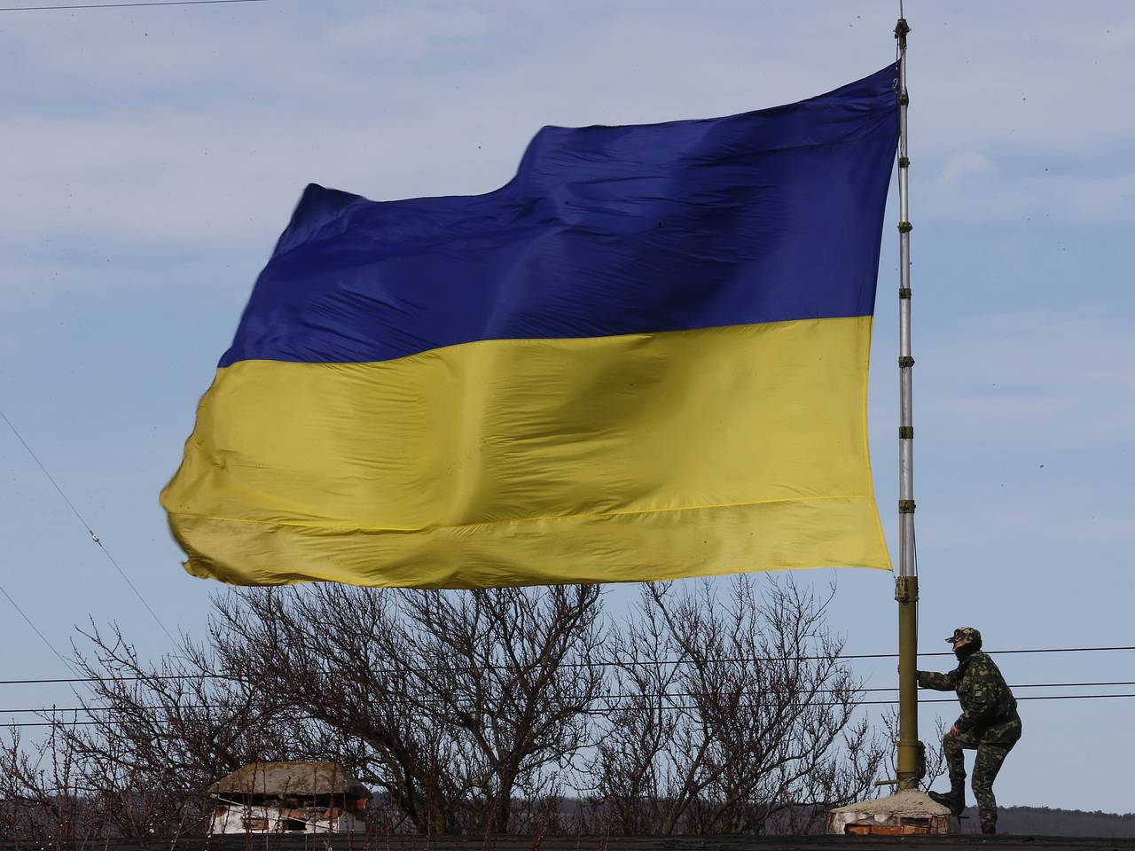 В Раде раскритиковали «короля Украины» Владимира Первого