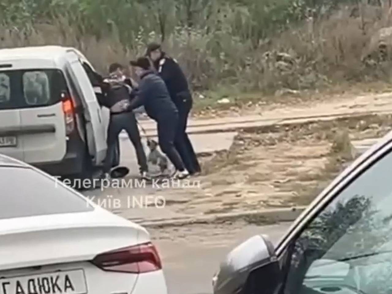 На Украине вслед за котом мобилизовали собаку