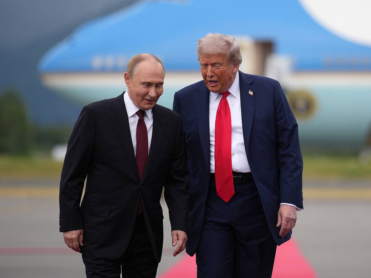 На Западе раскрыли планы ЕС перед встречей Путина и Трампа