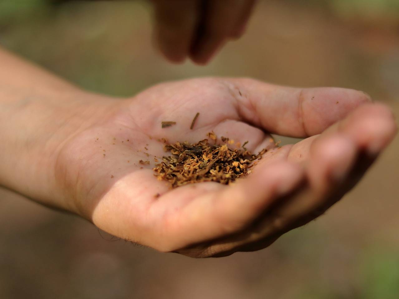 Власти одной страны ввели беспрецедентный запрет табака