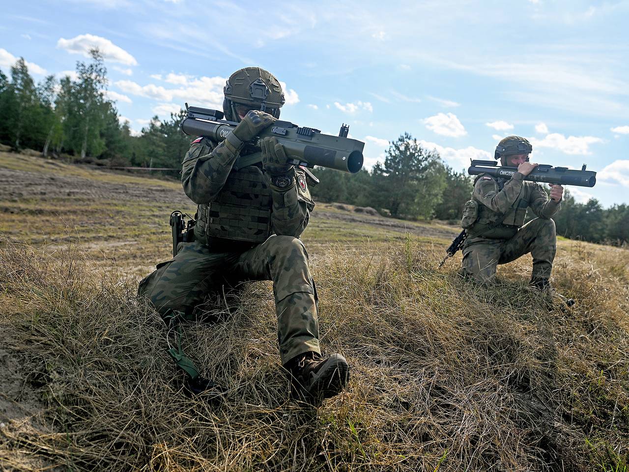 Одно решение фон дер Ляйен назвали путем к войне