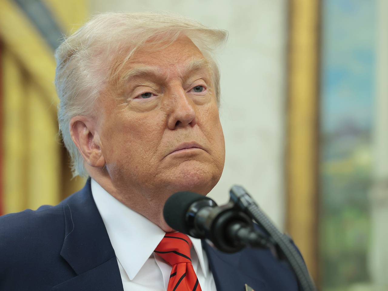 Трамп ответил на предложение Путина возобновить переговоры с Украиной